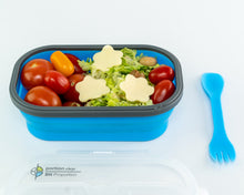 Load image into Gallery viewer, Blue or Green Flexy Lunch Box - 1 Compartment - WLS Accessories
